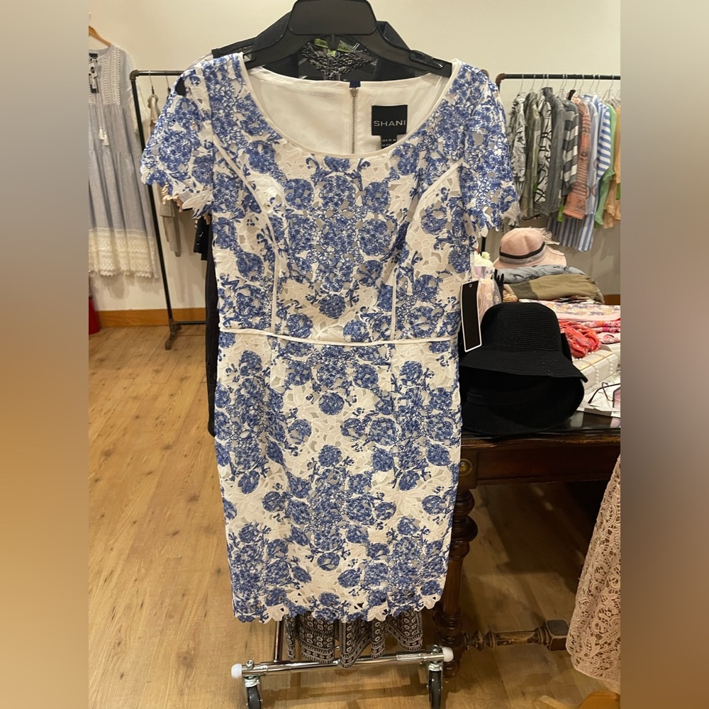 Shani embroidery lace dress